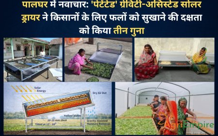 पालघर में नवाचार: 'पेटेंटेड' ग्रेविटी-असिस्टेड सोलर ड्रायर ने किसानों के लिए फलों को सुखाने की दक्षता को किया तीन गुना