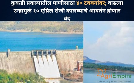 कुकडी प्रकल्पातील पाणीसाठा ४० टक्क्यांवर; वाढत्या उन्हामुळे १० एप्रिल रोजी कालव्याचे आवर्तन होणार बंद