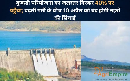 कुकडी परियोजना का जलस्तर गिरकर 40% पर पहुँचा; बढ़ती गर्मी के बीच 10 अप्रैल को बंद होगी नहरों की सिंचाई