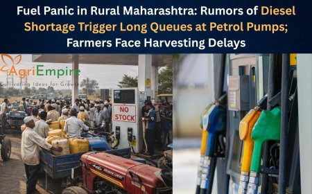 Fuel Panic in Rural Maharashtra: Rumors of Diesel Shortage Trigger Long Queues at Petrol Pumps; Farmers Face Harvesting Delays