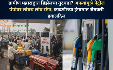 ग्रामीण महाराष्ट्रात डिझेलचा तुटवडा? अफवांमुळे पेट्रोल पंपांवर लांबच लांब रांगा; काढणीच्या हंगामात शेतकरी हवालदिल
