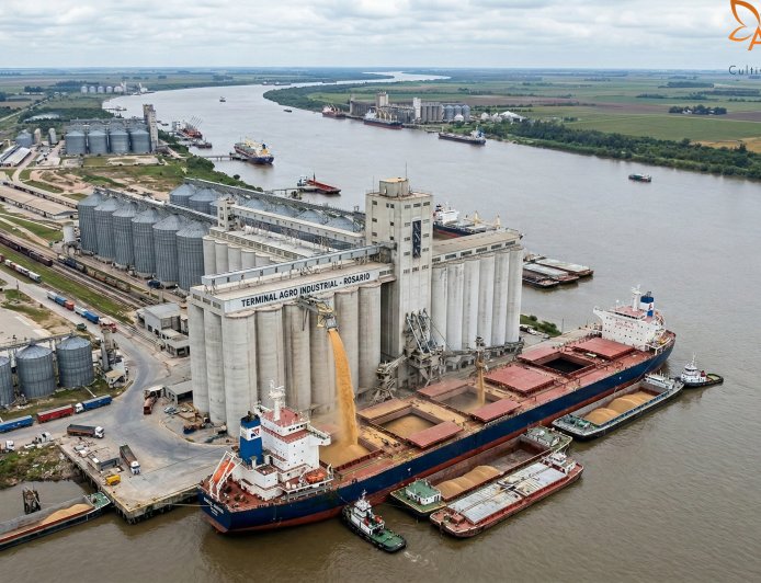 वैश्विक अनाज बाजार: रिकॉर्ड उत्पादन और नए अमेरिकी शुल्कों के कारण गेहूं की कीमतें $5.70 से नीचे