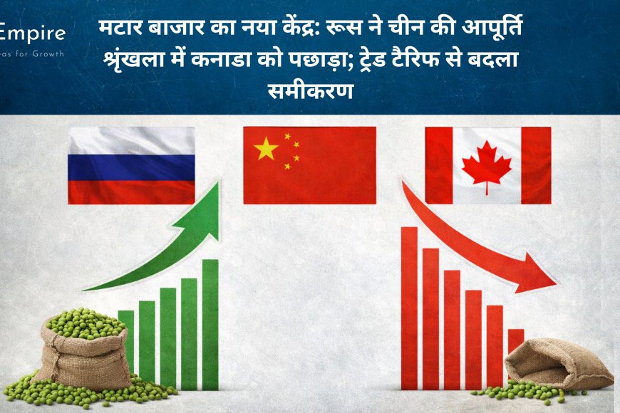 मटार बाजार का नया केंद्र: रूस ने चीन की आपूर्ति श्रृंखला में कनाडा को पछाड़ा; ट्रेड टैरिफ से बदला समीकरण