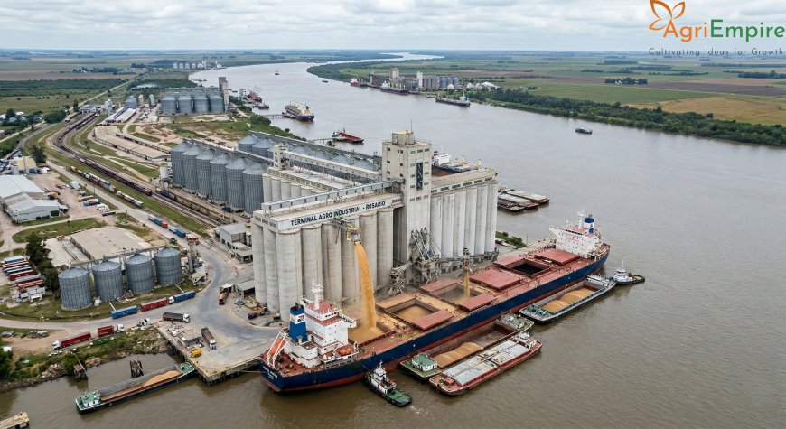 Global Grain Realignment: Wheat Prices Drop Below $5.70 Amid Record Southern Harvests and New U.S. Trade Tariffs