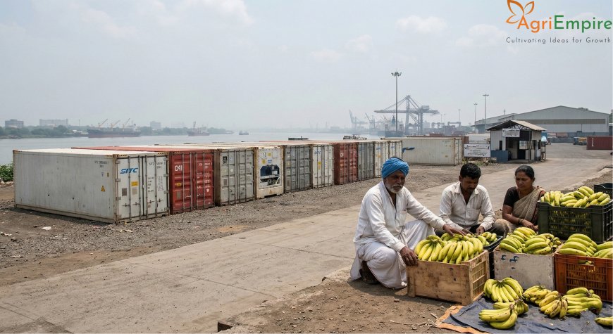 Export Crisis: US-Israel-Iran Conflict Halts Maharashtra Banana and Sugar Exports; Over 1,200 Containers Stranded