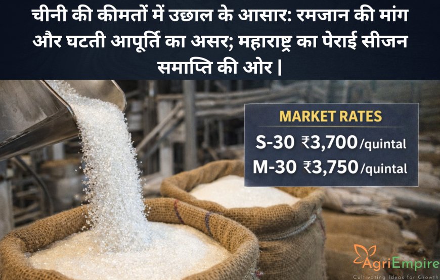 चीनी की कीमतों में उछाल के आसार: रमजान की मांग और घटती आपूर्ति का असर; महाराष्ट्र का पेराई सीजन समाप्ति की ओर।
