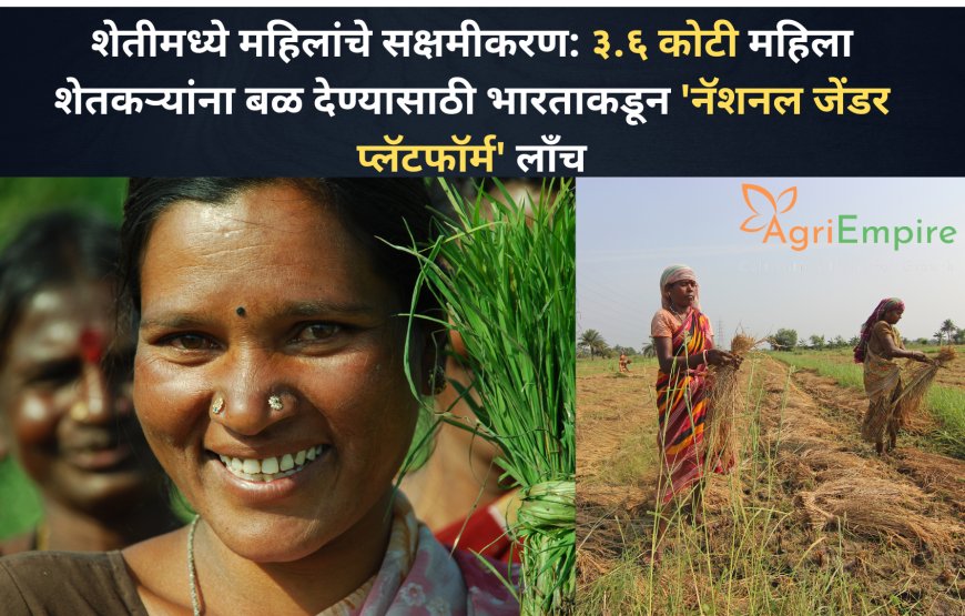 शेतीमध्ये महिलांचे सक्षमीकरण: ३.६ कोटी महिला शेतकऱ्यांना बळ देण्यासाठी भारताकडून 'नॅशनल जेंडर प्लॅटफॉर्म' लाँच