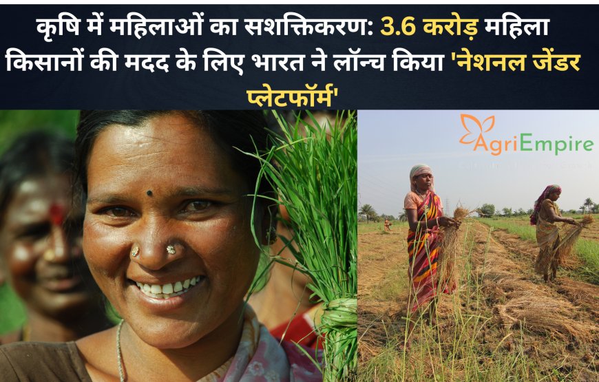 कृषि में महिलाओं का सशक्तिकरण: 3.6 करोड़ महिला किसानों की मदद के लिए भारत ने लॉन्च किया 'नेशनल जेंडर प्लेटफॉर्म'