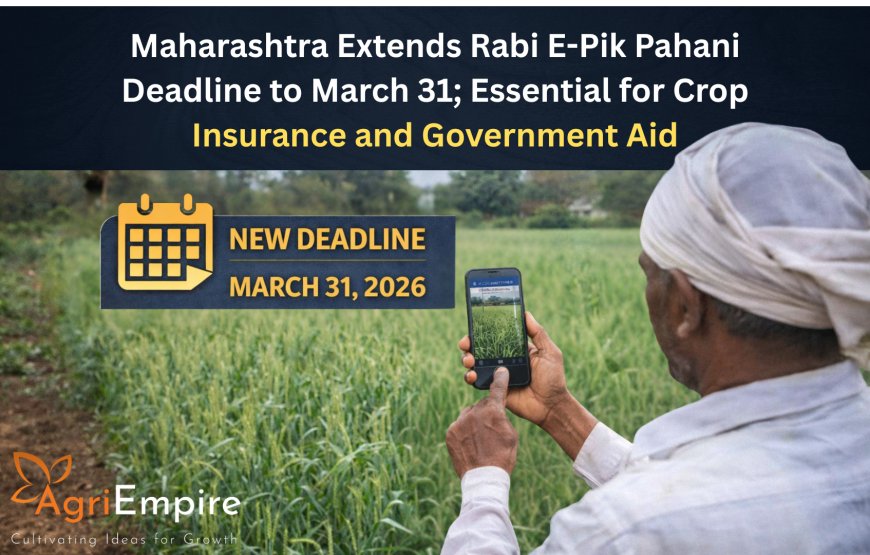 Maharashtra Extends Rabi E-Pik Pahani Deadline to March 31; Essential for Crop Insurance and Government Aid
