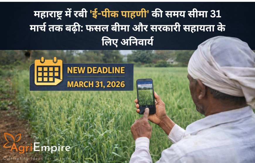 महाराष्ट्र में रबी 'ई-पीक पाहणी' की समय सीमा 31 मार्च तक बढ़ी: फसल बीमा और सरकारी सहायता के लिए अनिवार्य