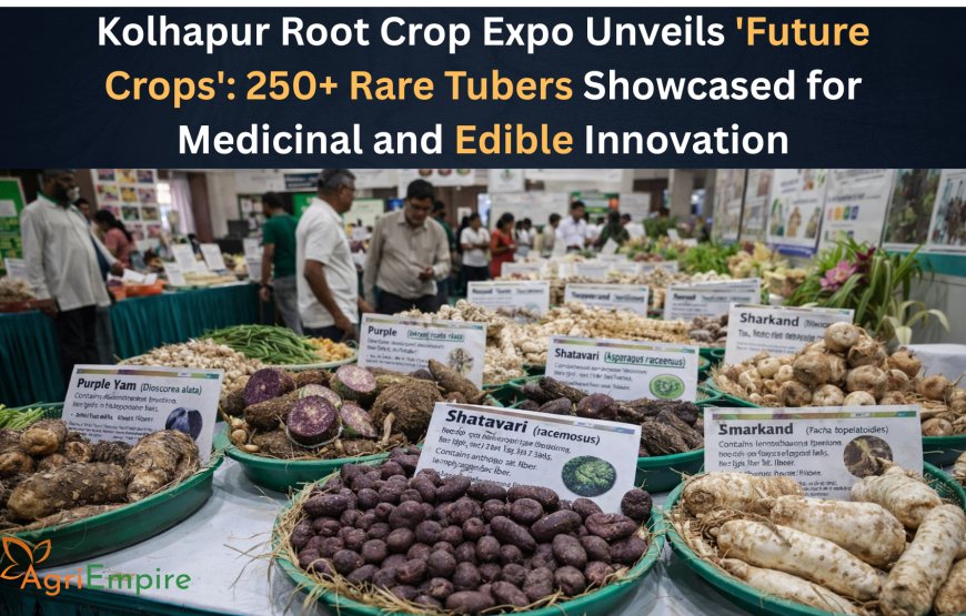 Kolhapur Root Crop Expo Unveils 'Future Crops': 250+ Rare Tubers Showcased for Medicinal and Edible Innovation