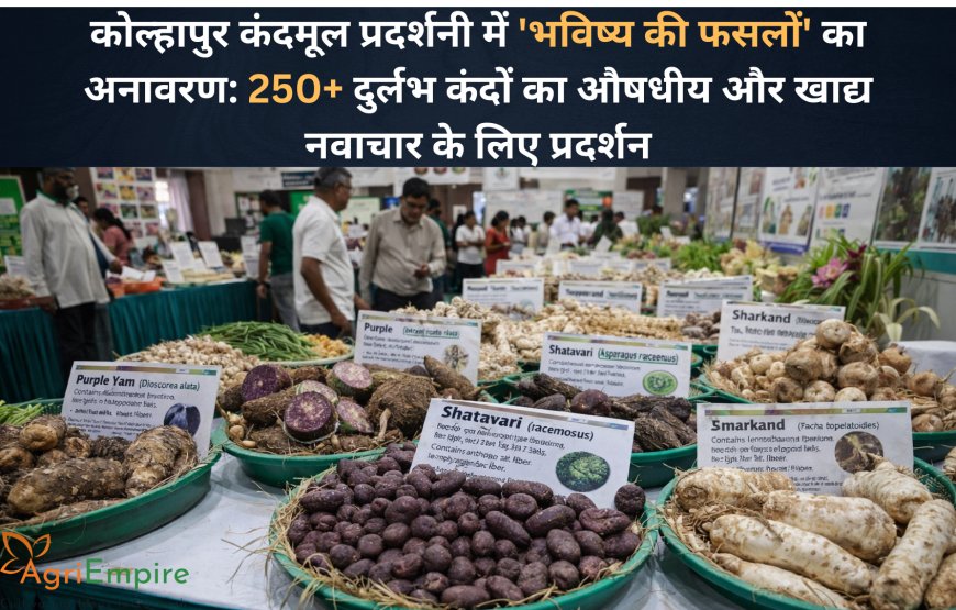 कोल्हापुर कंदमूल प्रदर्शनी में 'भविष्य की फसलों' का अनावरण: 250+ दुर्लभ कंदों का औषधीय और खाद्य नवाचार के लिए प्रदर्शन