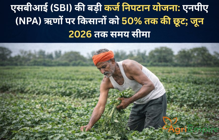 एसबीआई (SBI) की बड़ी कर्ज निपटान योजना: एनपीए (NPA) ऋणों पर किसानों को 50% तक की छूट; जून 2026 तक समय सीमा