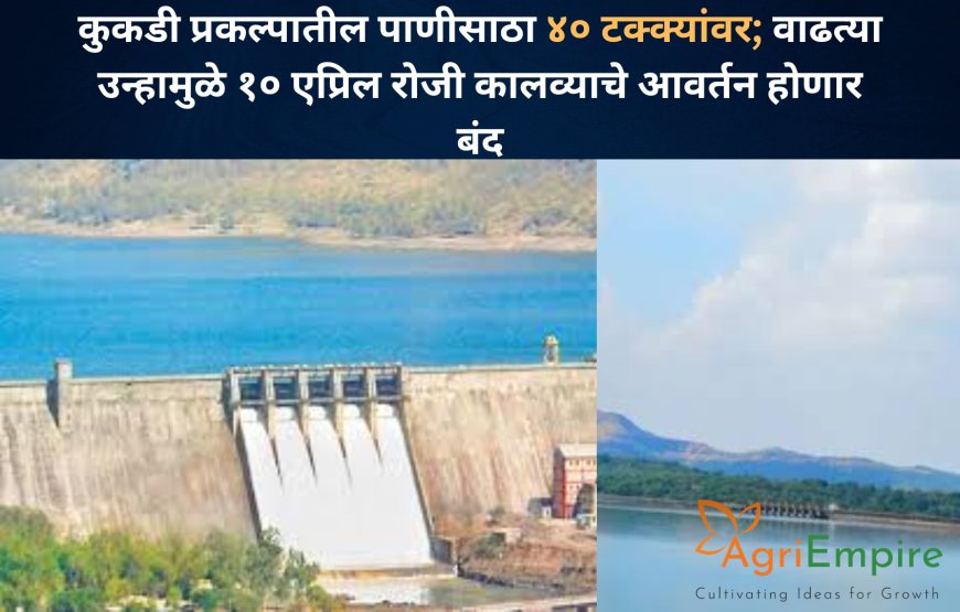 कुकडी प्रकल्पातील पाणीसाठा ४० टक्क्यांवर; वाढत्या उन्हामुळे १० एप्रिल रोजी कालव्याचे आवर्तन होणार बंद