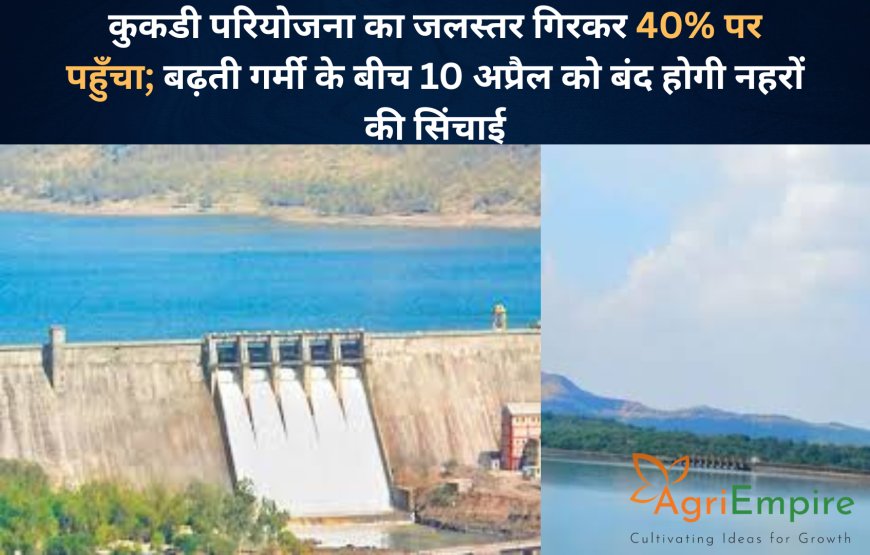 कुकडी परियोजना का जलस्तर गिरकर 40% पर पहुँचा; बढ़ती गर्मी के बीच 10 अप्रैल को बंद होगी नहरों की सिंचाई