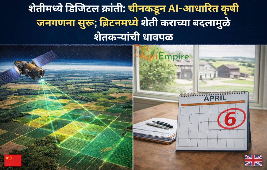 शेतीमध्ये डिजिटल क्रांती: चीनकडून AI-आधारित कृषी जनगणना सुरू; ब्रिटनमध्ये शेती कराच्या बदलामुळे शेतकऱ्यांची धावपळ