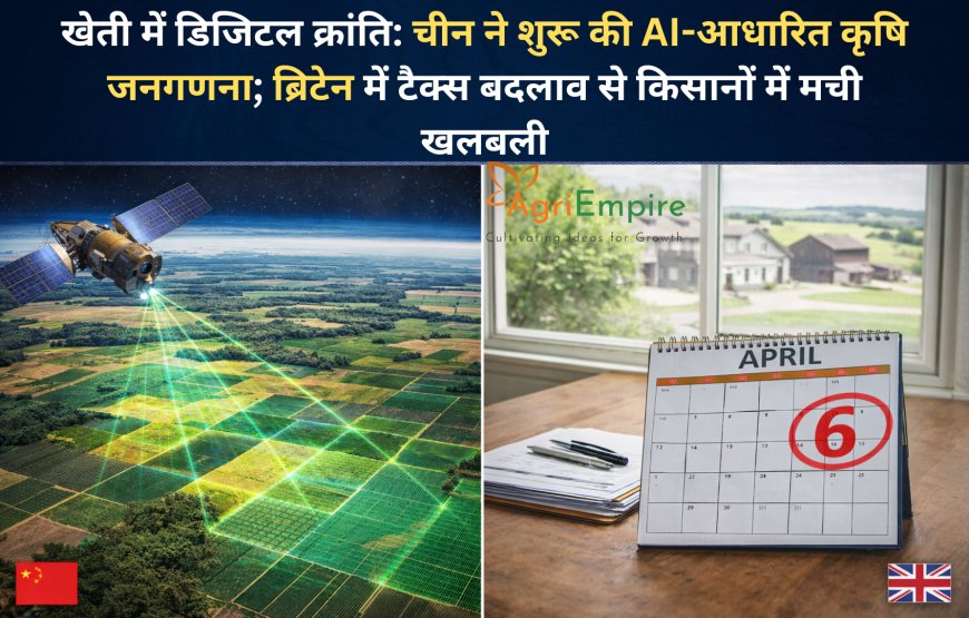 खेती में डिजिटल क्रांति: चीन ने शुरू की AI-आधारित कृषि जनगणना; ब्रिटेन में टैक्स बदलाव से किसानों में मची खलबली