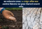 खत साठेबाजांना दणका: २० टनांहून अधिक साठा असलेल्या विक्रेत्यांचा नवा पुरवठा रोखण्याचे सरकारचे आदेश