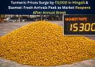 Turmeric Prices Surge by ₹3,000 in Hingoli & Basmat: Fresh Arrivals Peak as Market Reopens After Annual Break