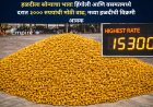 हळदीला सोन्याचा भाव! हिंगोली आणि वसमतमध्ये दरात ३००० रुपयांची मोठी वाढ; नव्या हळदीची विक्रमी आवक