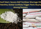 Kharif Alert: Severe DAP Fertilizer Shortage Hits Vidarbha; Global Conflicts Trigger Panic Buying Among Farmers