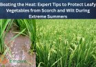 Beating the Heat: Expert Tips to Protect Leafy Vegetables from Scorch and Wilt During Extreme Summers