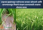 उन्हाच्या झळांपासून पालेभाज्या वाचवा! कोमजणे आणि करपण्यापासून पिकांचे संरक्षण करण्यासाठी तज्ज्ञांचा मोलाचा सल्ला