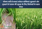 भीषण गर्मी से बचाएं पत्तेदार सब्जियां! झुलसने और मुरझाने से फसल की सुरक्षा के लिए विशेषज्ञों के खास टिप्स