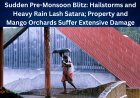 Sudden Pre-Monsoon Blitz: Hailstorms and Heavy Rain Lash Satara; Property and Mango Orchards Suffer Extensive Damage