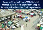 Revenue Crisis at Pune APMC: Gultekdi Market Yard Records Significant Drop in Income; Administrative Challenges Mount