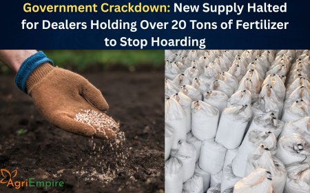 Government Crackdown: New Supply Halted for Dealers Holding Over 20 Tons of Fertilizer to Stop Hoarding
