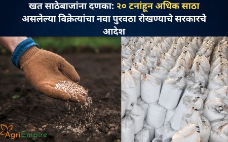 खत साठेबाजांना दणका: २० टनांहून अधिक साठा असलेल्या विक्रेत्यांचा नवा पुरवठा रोखण्याचे सरकारचे आदेश