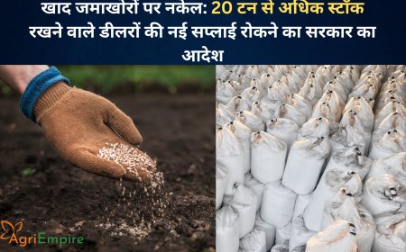 खाद जमाखोरों पर नकेल: 20 टन से अधिक स्टॉक रखने वाले डीलरों की नई सप्लाई रोकने का सरकार का आदेश
