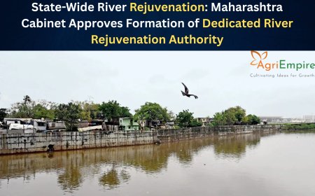 State-Wide River Rejuvenation: Maharashtra Cabinet Approves Formation of Dedicated River Rejuvenation Authority