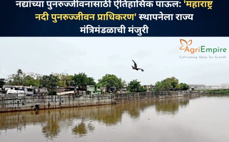 नद्यांच्या पुनरुज्जीवनासाठी ऐतिहासिक पाऊल: 'महाराष्ट्र नदी पुनरुज्जीवन प्राधिकरण' स्थापनेला राज्य मंत्रिमंडळाची मंजुरी