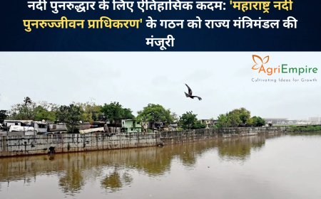 नदी पुनरुद्धार के लिए ऐतिहासिक कदम: 'महाराष्ट्र नदी पुनरुज्जीवन प्राधिकरण' के गठन को राज्य मंत्रिमंडल की मंजूरी