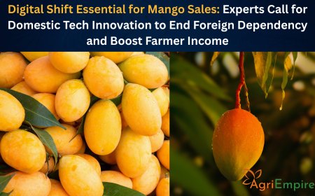 Digital Shift Essential for Mango Sales: Experts Call for Domestic Tech Innovation to End Foreign Dependency and Boost Farmer Income