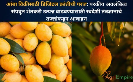 आंबा विक्रीसाठी डिजिटल क्रांतीची गरज: परकीय अवलंबित्व संपवून शेतकरी उत्पन्न वाढवण्यासाठी स्वदेशी तंत्रज्ञानाचे तज्ज्ञांकडून आवाहन