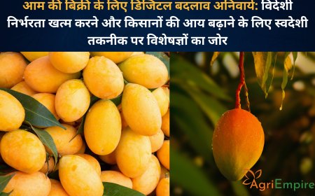 आम की बिक्री के लिए डिजिटल बदलाव अनिवार्य: विदेशी निर्भरता खत्म करने और किसानों की आय बढ़ाने के लिए स्वदेशी तकनीक पर विशेषज्ञों का जोर