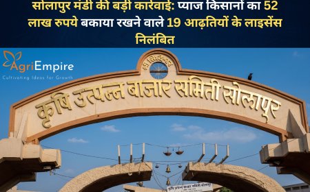 सोलापुर मंडी की बड़ी कार्रवाई: प्याज किसानों का 52 लाख रुपये बकाया रखने वाले 19 आढ़तियों के लाइसेंस निलंबित
