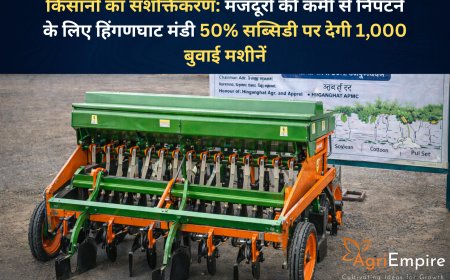 किसानों का सशक्तिकरण: मजदूरों की कमी से निपटने के लिए हिंगणघाट मंडी 50% सब्सिडी पर देगी 1,000 बुवाई मशीनें