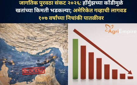 जागतिक पुरवठा संकट २०२६: हॉर्मुझच्या कोंडीमुळे खतांच्या किमती भडकल्या; अमेरिकेत गव्हाची लागवड १०७ वर्षांच्या निचांकी पातळीवर