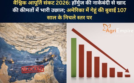 वैश्विक आपूर्ति संकट 2026: हॉर्मुज की नाकेबंदी से खाद की कीमतों में भारी उछाल; अमेरिका में गेहूं की बुवाई 107 साल के निचले स्तर पर