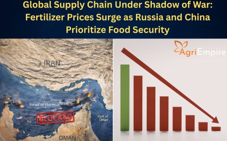 Global Supply Chain Under Shadow of War: Fertilizer Prices Surge as Russia and China Prioritize Food Security
