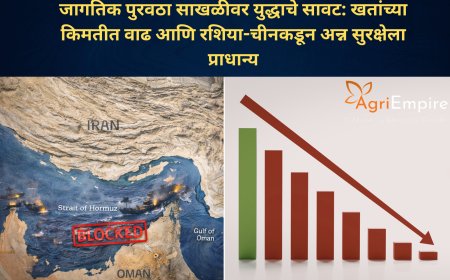 जागतिक पुरवठा साखळीवर युद्धाचे सावट: खतांच्या किमतीत वाढ आणि रशिया-चीनकडून अन्न सुरक्षेला प्राधान्य