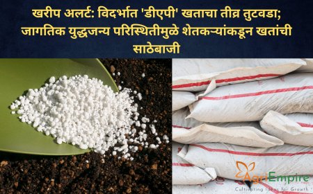 खरीप अलर्ट: विदर्भात 'डीएपी' खताचा तीव्र तुटवडा; जागतिक युद्धजन्य परिस्थितीमुळे शेतकऱ्यांकडून खतांची साठेबाजी