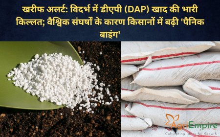 खरीफ अलर्ट: विदर्भ में डीएपी (DAP) खाद की भारी किल्लत; वैश्विक संघर्षों के कारण किसानों में बढ़ी 'पैनिक बाइंग'