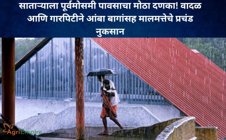 साताऱ्याला पूर्वमोसमी पावसाचा मोठा दणका! वादळ आणि गारपिटीने आंबा बागांसह मालमत्तेचे प्रचंड नुकसान
