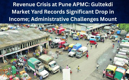 Revenue Crisis at Pune APMC: Gultekdi Market Yard Records Significant Drop in Income; Administrative Challenges Mount