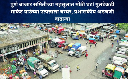 पुणे बाजार समितीच्या महसुलात मोठी घट! गुलटेकडी मार्केट यार्डच्या उत्पन्नाला घरघर; प्रशासकीय अडचणी वाढल्या